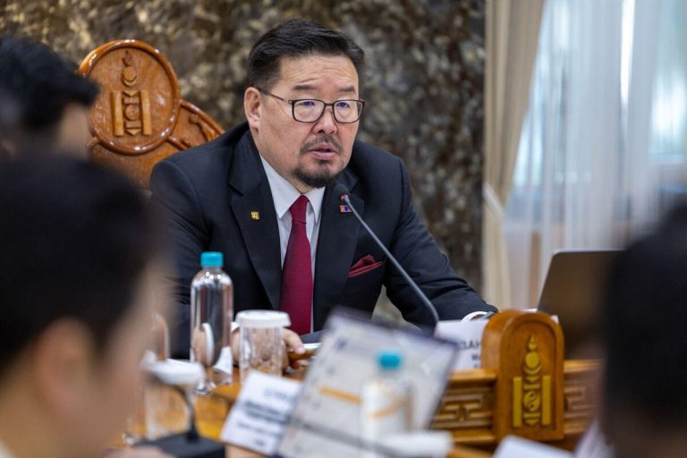 Шинэ дэд сайд нартай ТАНИЛЦ