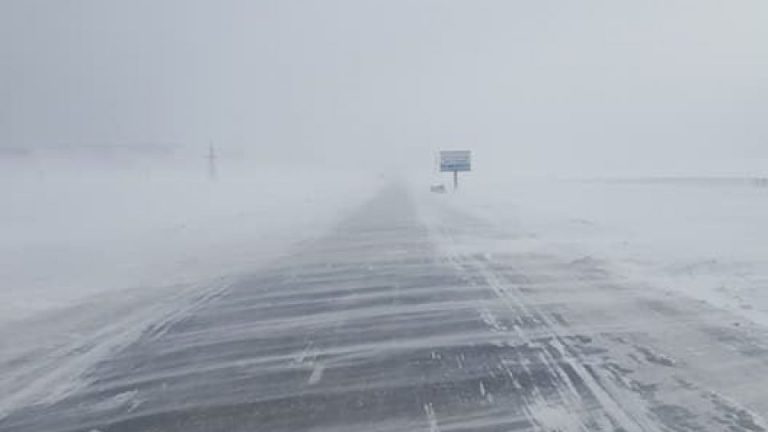 ТАНИЛЦ: Нэгдүгээр сарын цаг агаарын урьдчилсан мэдээ