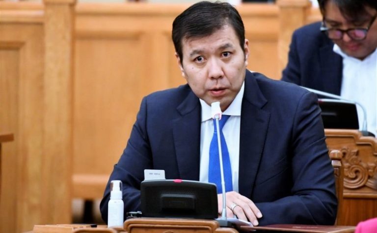 Б.Энхбаяр: 16 настай охины хэргийн сэвэлтийг гадаад улсаас хийгээд байсан…